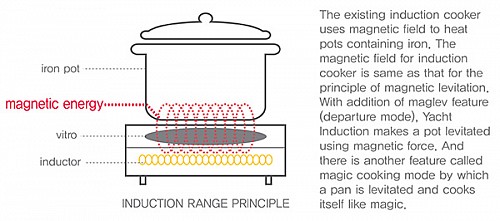 induction_cooking2